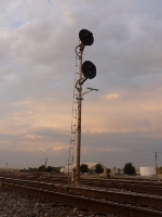 Old Relic Standing Tall